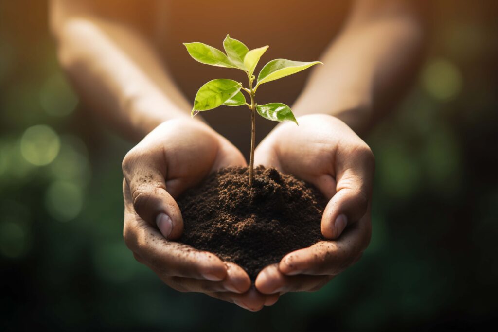 sustainable-travel-concept